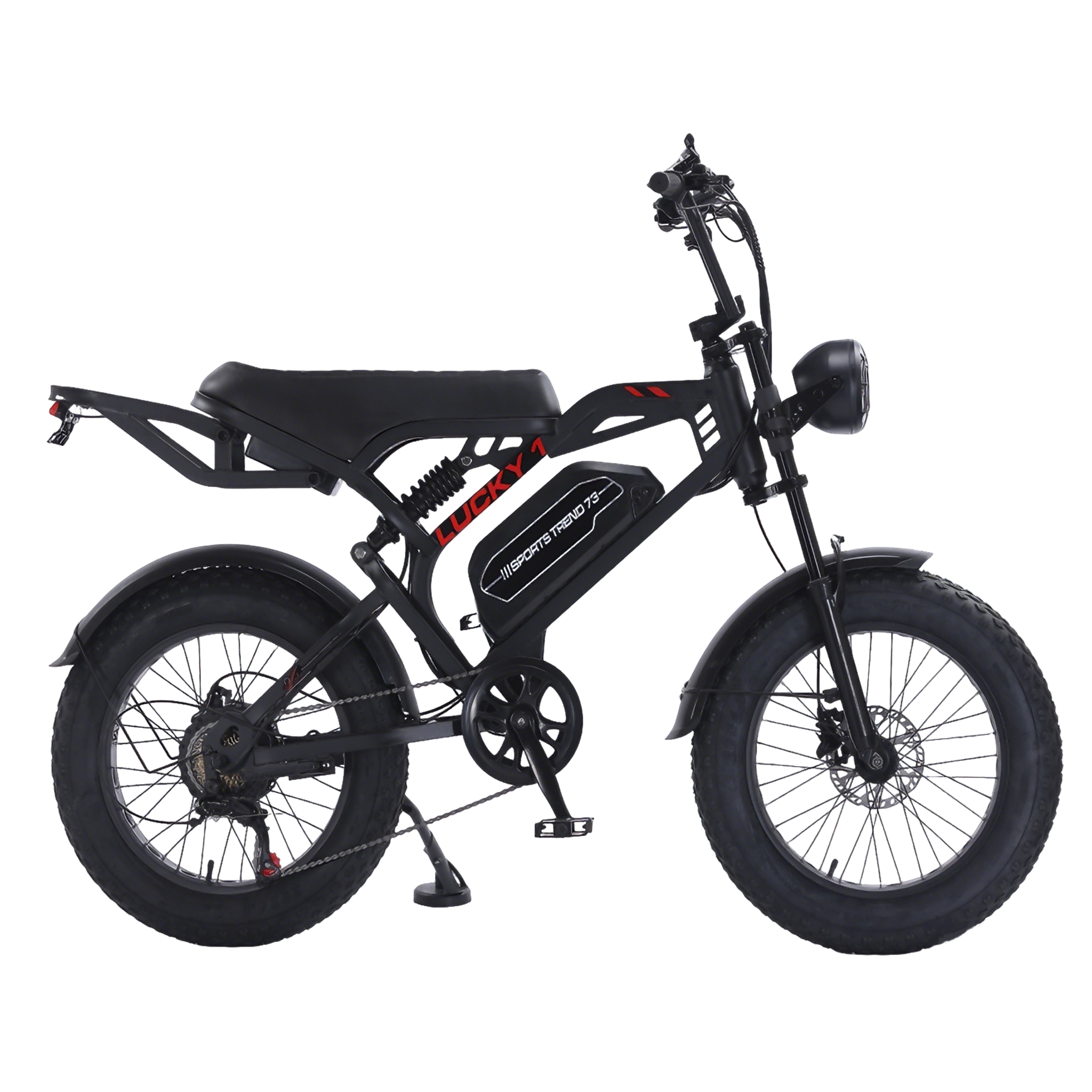 LK-1 Motorcycle Style E-bike