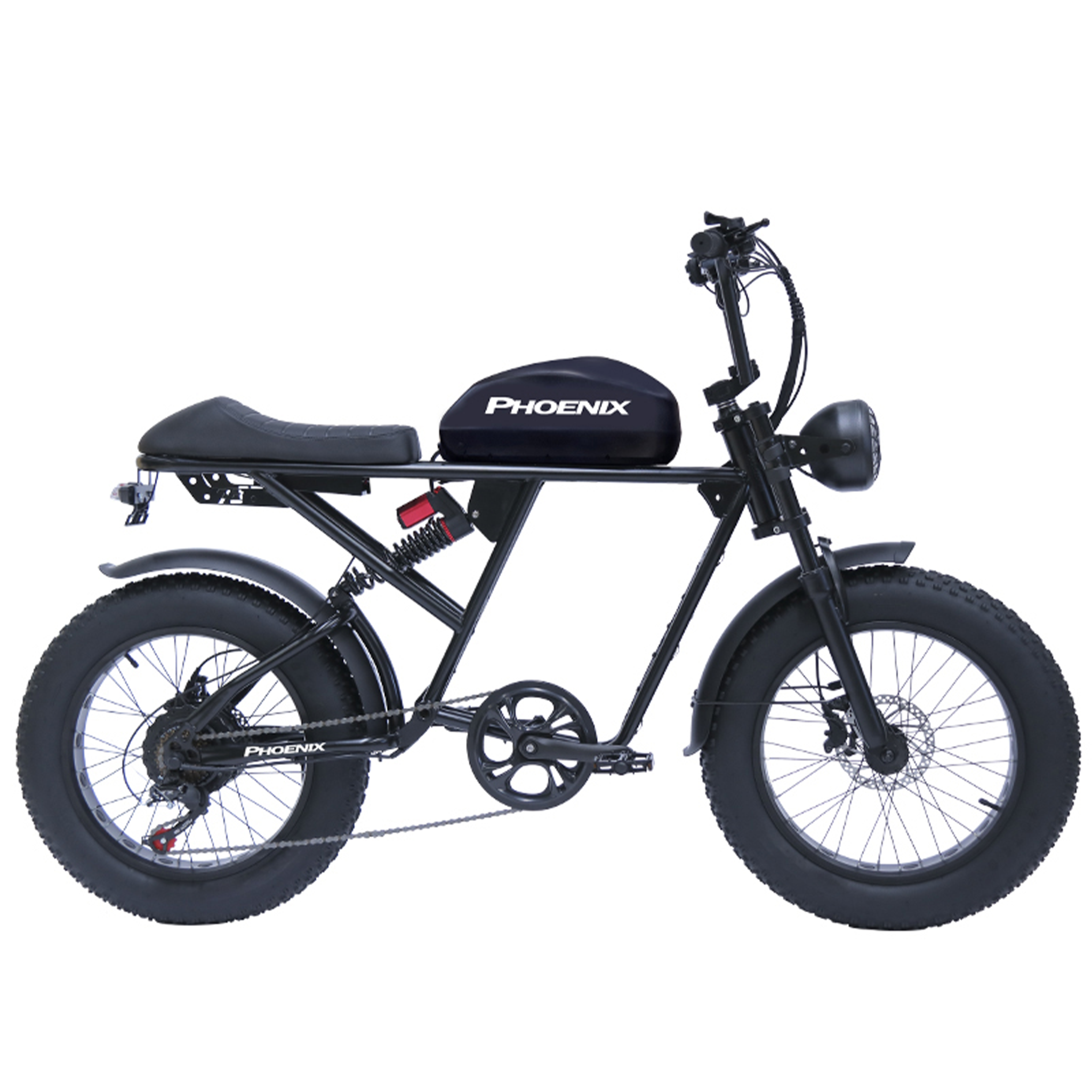 RX-Q motorcycle style E-bike